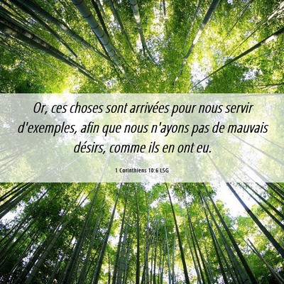 Picture 06 - 1 Corinthiens 10:6 LSG - Or, ces choses sont arrivées pour nous servir - Bible Verse Picture