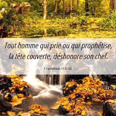 Picture 06 - 1 Corinthiens 11:4 LSG - Tout homme qui prie ou qui prophétise, la tête - Bible Verse Picture