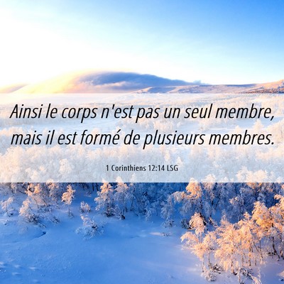 Picture 06 - 1 Corinthiens 12:14 LSG - Ainsi le corps n'est pas un seul membre, mais il - Bible Verse Picture