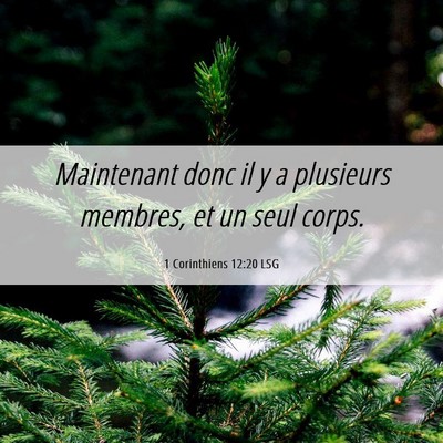 Picture 06 - 1 Corinthiens 12:20 LSG - Maintenant donc il y a plusieurs membres, et un - Bible Verse Picture