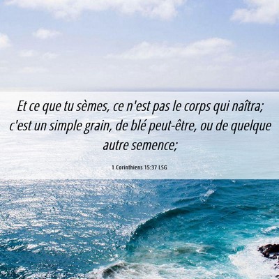 Picture 06 - 1 Corinthiens 15:37 LSG - Et ce que tu sèmes, ce n'est pas le corps qui - Bible Verse Picture