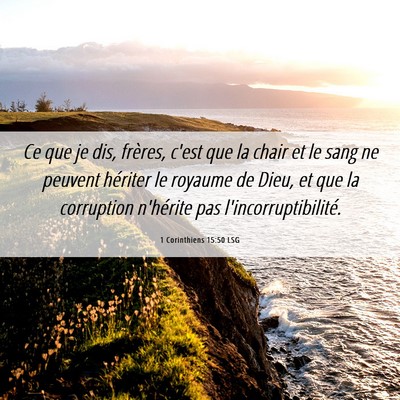 Picture 06 - 1 Corinthiens 15:50 LSG - Ce que je dis, frères, c'est que la chair et le - Bible Verse Picture