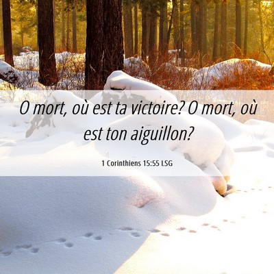 Picture 06 - 1 Corinthiens 15:55 LSG - O mort, où est ta victoire? O mort, où est ton - Bible Verse Picture