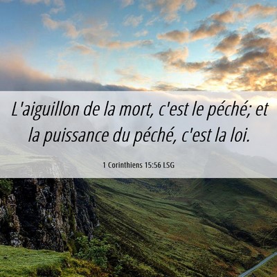 Picture 06 - 1 Corinthiens 15:56 LSG - L'aiguillon de la mort, c'est le péché; et la - Bible Verse Picture