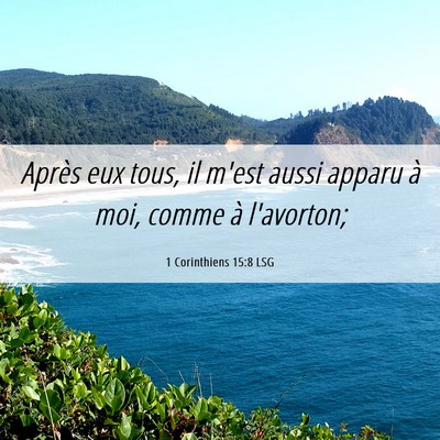 Picture 06 - 1 Corinthiens 15:8 LSG - Après eux tous, il m'est aussi apparu à moi, - Bible Verse Picture