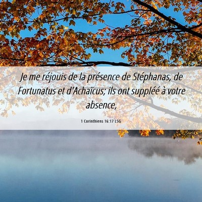Picture 06 - 1 Corinthiens 16:17 LSG - Je me réjouis de la présence de Stéphanas, de - Bible Verse Picture