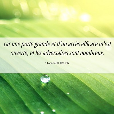 Picture 06 - 1 Corinthiens 16:9 LSG - car une porte grande et d'un accès efficace - Bible Verse Picture