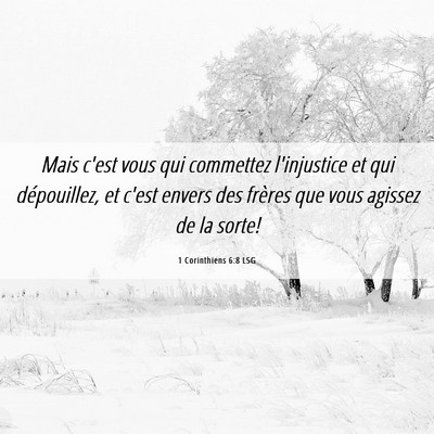 Picture 06 - 1 Corinthiens 6:8 LSG - Mais c'est vous qui commettez l'injustice et qui - Bible Verse Picture