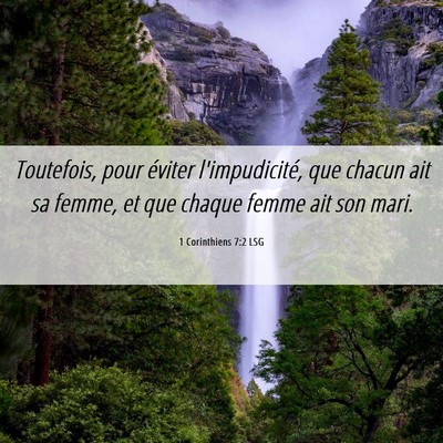 Picture 06 - 1 Corinthiens 7:2 LSG - Toutefois, pour éviter l'impudicité, que chacun - Bible Verse Picture