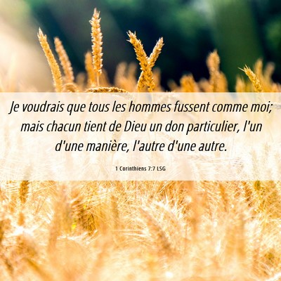 Picture 06 - 1 Corinthiens 7:7 LSG - Je voudrais que tous les hommes fussent comme - Bible Verse Picture