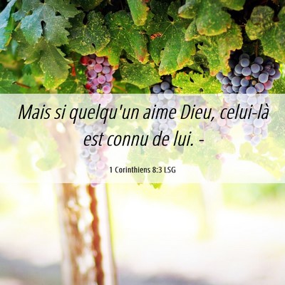 Picture 06 - 1 Corinthiens 8:3 LSG - Mais si quelqu'un aime Dieu, celui-là est connu - Bible Verse Picture