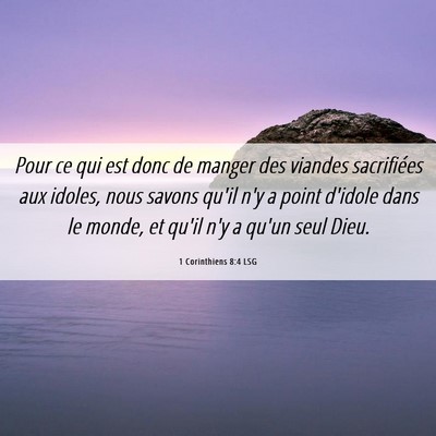 Picture 06 - 1 Corinthiens 8:4 LSG - Pour ce qui est donc de manger des viandes - Bible Verse Picture
