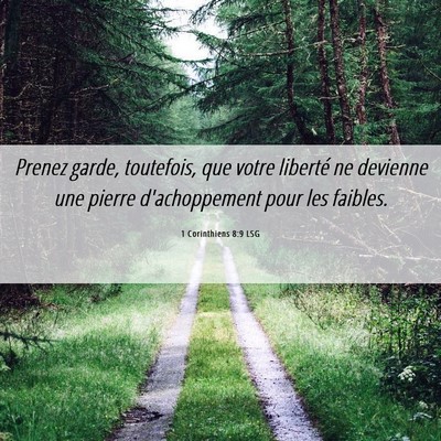 Picture 06 - 1 Corinthiens 8:9 LSG - Prenez garde, toutefois, que votre liberté ne - Bible Verse Picture