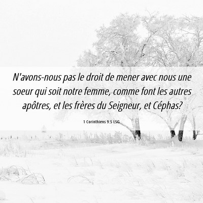 Picture 06 - 1 Corinthiens 9:5 LSG - N'avons-nous pas le droit de mener avec nous une - Bible Verse Picture