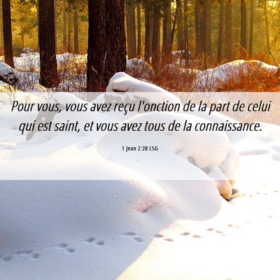 Picture 06 - 1 Jean 2:20 LSG - Pour vous, vous avez reçu l'onction de la part - Bible Verse Picture