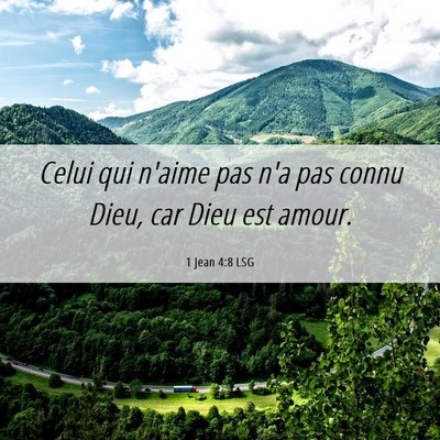 Picture 06 - 1 Jean 4:8 LSG - Celui qui n'aime pas n'a pas connu Dieu, car Dieu - Bible Verse Picture
