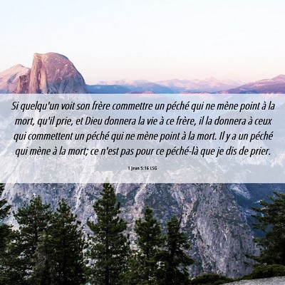 Picture 06 - 1 Jean 5:16 LSG - Si quelqu'un voit son frère commettre un péché - Bible Verse Picture
