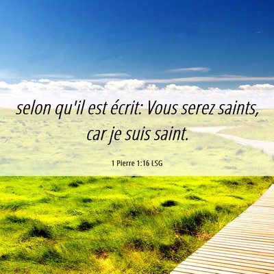 Picture 06 - 1 Pierre 1:16 LSG - selon qu'il est écrit: Vous serez saints, car je - Bible Verse Picture