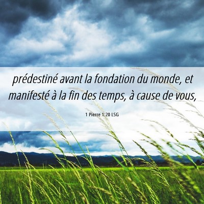 Picture 06 - 1 Pierre 1:20 LSG - prédestiné avant la fondation du monde, et - Bible Verse Picture