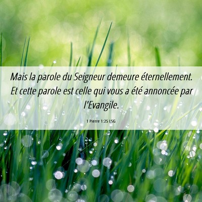 Picture 06 - 1 Pierre 1:25 LSG - Mais la parole du Seigneur demeure - Bible Verse Picture