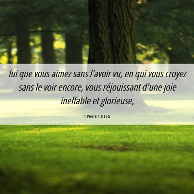 Picture 06 - 1 Pierre 1:8 LSG - lui que vous aimez sans l'avoir vu, en qui vous - Bible Verse Picture