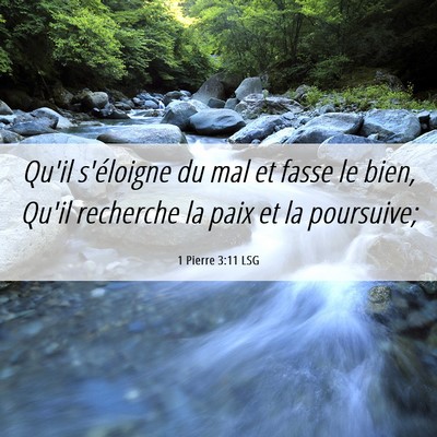 Picture 06 - 1 Pierre 3:11 LSG - Qu'il s'éloigne du mal et fasse le bien, Qu'il - Bible Verse Picture