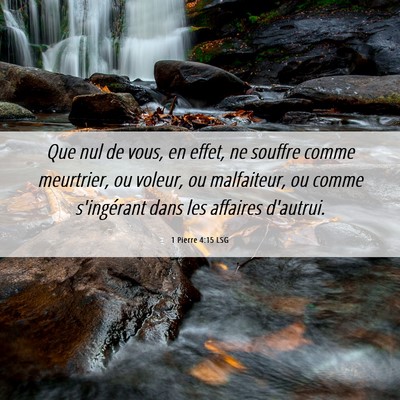 Picture 06 - 1 Pierre 4:15 LSG - Que nul de vous, en effet, ne souffre comme - Bible Verse Picture