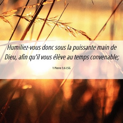 Picture 06 - 1 Pierre 5:6 LSG - Humiliez-vous donc sous la puissante main de - Bible Verse Picture
