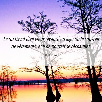 Picture 06 - 1 Rois 1:1 LSG - Le roi David était vieux, avancé en âge; on le - Bible Verse Picture