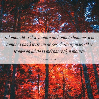 Picture 06 - 1 Rois 1:52 LSG - Salomon dit: S'il se montre un honnête homme, il - Bible Verse Picture