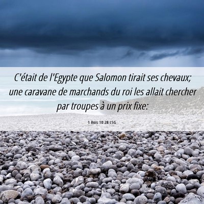 Picture 06 - 1 Rois 10:28 LSG - C'était de l'Egypte que Salomon tirait ses - Bible Verse Picture
