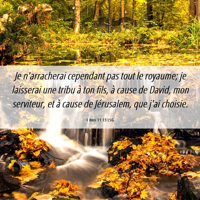 Picture 06 - 1 Rois 11:13 LSG - Je n'arracherai cependant pas tout le royaume; je - Bible Verse Picture