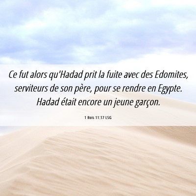 Picture 06 - 1 Rois 11:17 LSG - Ce fut alors qu'Hadad prit la fuite avec des - Bible Verse Picture