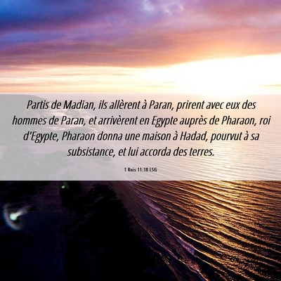 Picture 06 - 1 Rois 11:18 LSG - Partis de Madian, ils allèrent à Paran, prirent - Bible Verse Picture