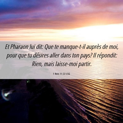 Picture 06 - 1 Rois 11:22 LSG - Et Pharaon lui dit: Que te manque-t-il auprès de - Bible Verse Picture