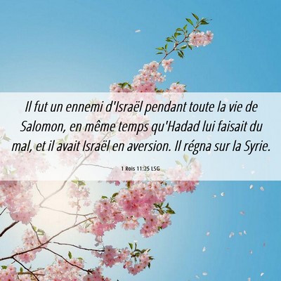 Picture 06 - 1 Rois 11:25 LSG - Il fut un ennemi d'Israël pendant toute la vie - Bible Verse Picture
