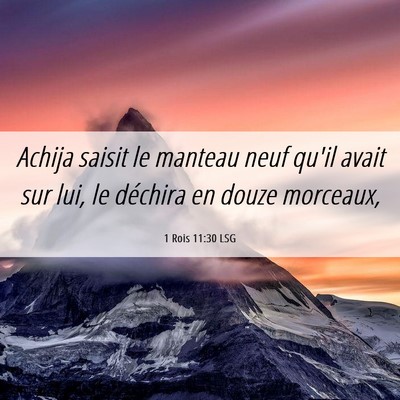 Picture 06 - 1 Rois 11:30 LSG - Achija saisit le manteau neuf qu'il avait sur - Bible Verse Picture