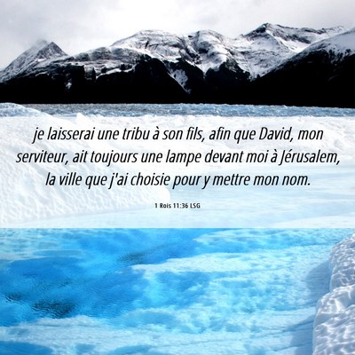 Picture 06 - 1 Rois 11:36 LSG - je laisserai une tribu à son fils, afin que - Bible Verse Picture
