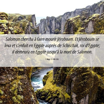 Picture 06 - 1 Rois 11:40 LSG - Salomon chercha à faire mourir Jéroboam. Et - Bible Verse Picture