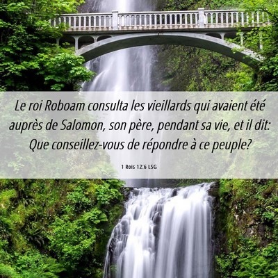 Picture 06 - 1 Rois 12:6 LSG - Le roi Roboam consulta les vieillards qui avaient - Bible Verse Picture
