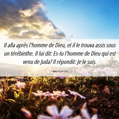 Picture 06 - 1 Rois 13:14 LSG - Il alla après l'homme de Dieu, et il le trouva - Bible Verse Picture
