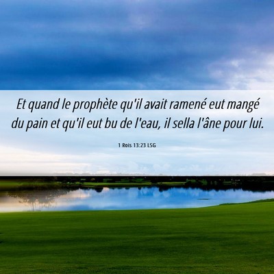 Picture 06 - 1 Rois 13:23 LSG - Et quand le prophète qu'il avait ramené eut - Bible Verse Picture