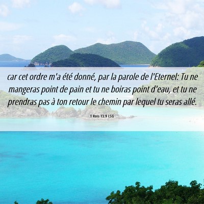 Picture 06 - 1 Rois 13:9 LSG - car cet ordre m'a été donné, par la parole de - Bible Verse Picture