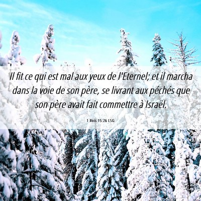 Picture 06 - 1 Rois 15:26 LSG - Il fit ce qui est mal aux yeux de l'Eternel; et - Bible Verse Picture