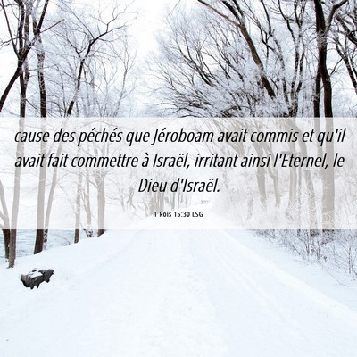 Picture 06 - 1 Rois 15:30 LSG - cause des péchés que Jéroboam avait commis et - Bible Verse Picture