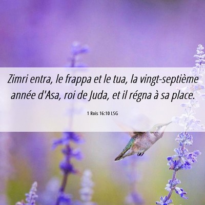 Picture 06 - 1 Rois 16:10 LSG - Zimri entra, le frappa et le tua, la - Bible Verse Picture