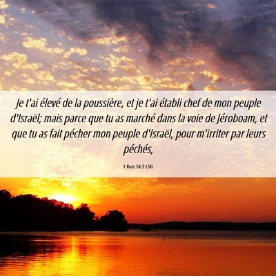Picture 06 - 1 Rois 16:2 LSG - Je t'ai élevé de la poussière, et je t'ai - Bible Verse Picture