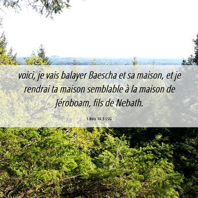 Picture 06 - 1 Rois 16:3 LSG - voici, je vais balayer Baescha et sa maison, et - Bible Verse Picture