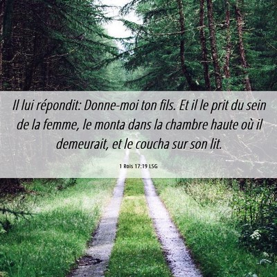 Picture 06 - 1 Rois 17:19 LSG - Il lui répondit: Donne-moi ton fils. Et il le - Bible Verse Picture