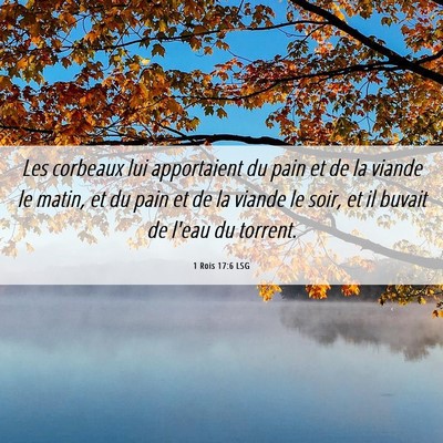 Picture 06 - 1 Rois 17:6 LSG - Les corbeaux lui apportaient du pain et de la - Bible Verse Picture
